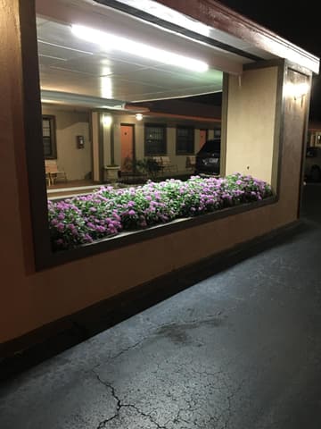 Silver Princess Motel