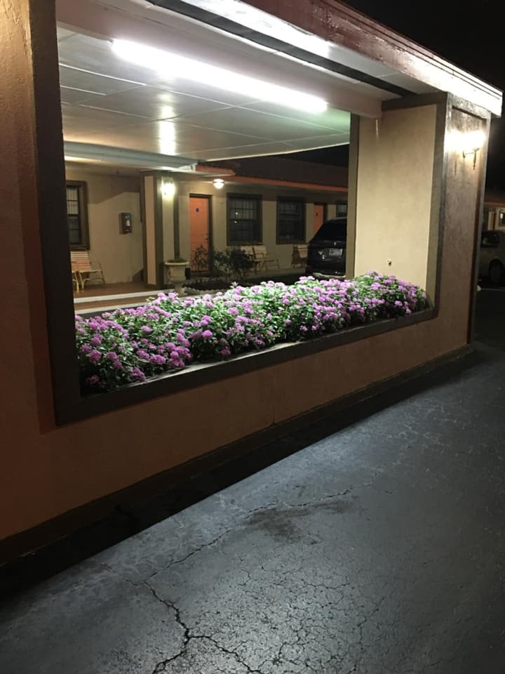 Silver Princess Motel