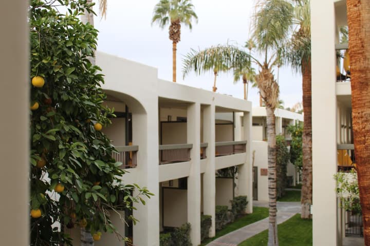 Palm Mountain Resort & Spa